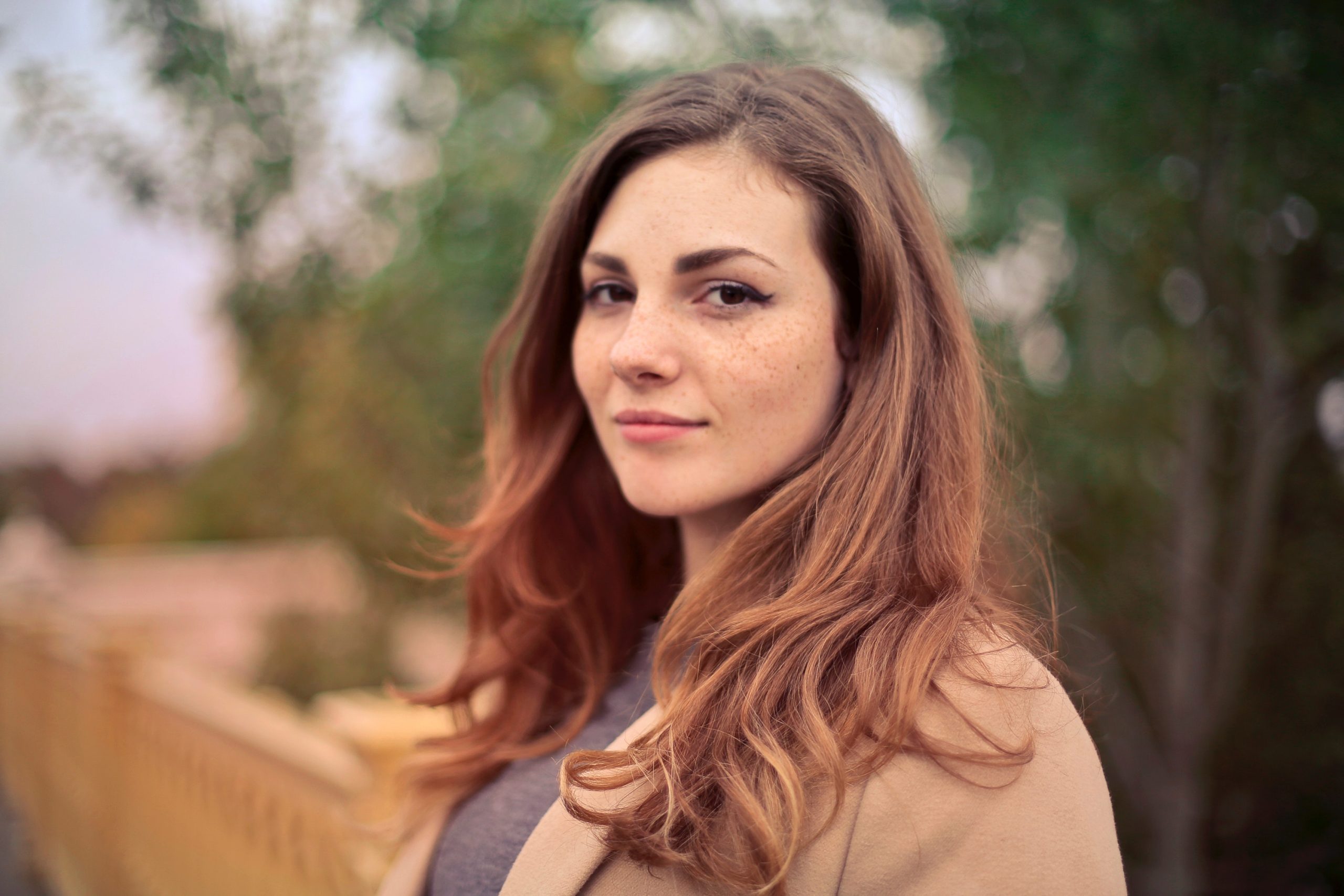 beautiful blur blurred background 733872